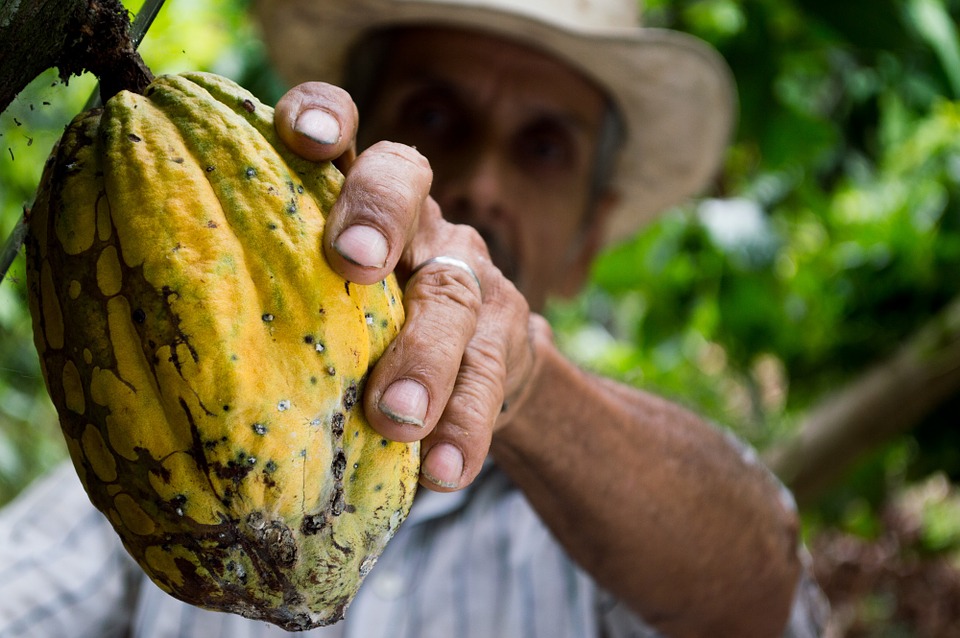 Préparez-vous pour un voyage en Colombie