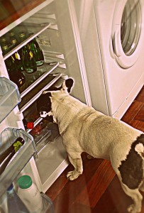 refrigerateur