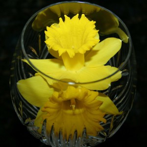 Vase en cristal fleur jaune