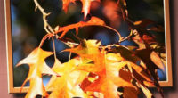 image decoration 3d