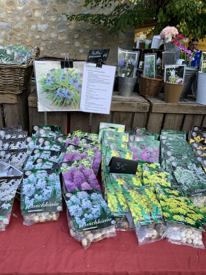 fleurs du marché