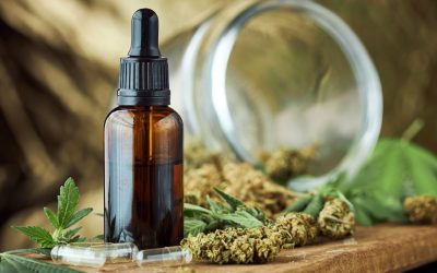 Pourquoi le CBD est utilisé en cuisine ?