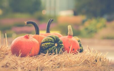 Aliments de saison : pour des saveurs plus fraîches et plus justes à tout moment.