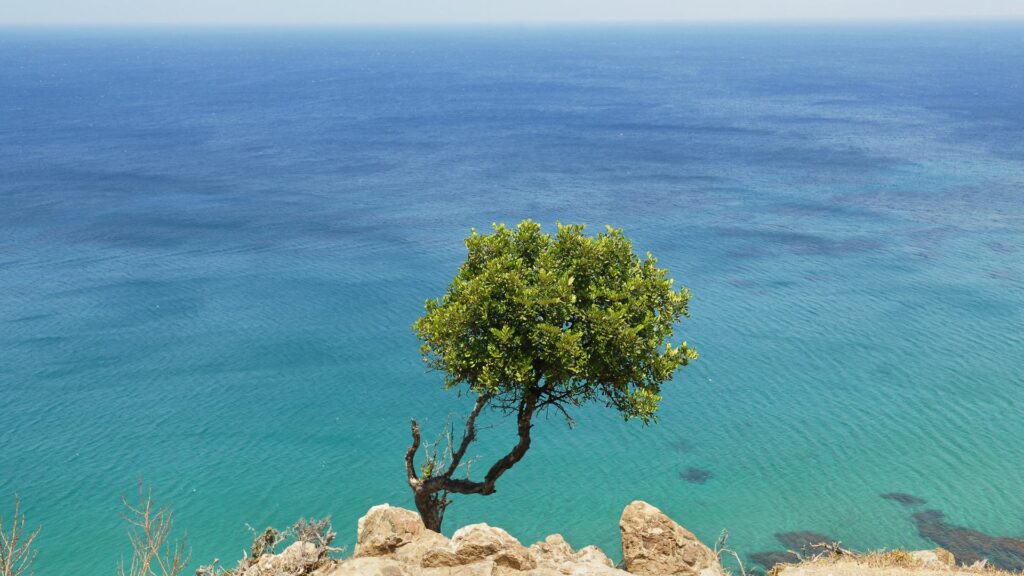 La mer Méditerranée 