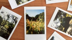 photo polaroid