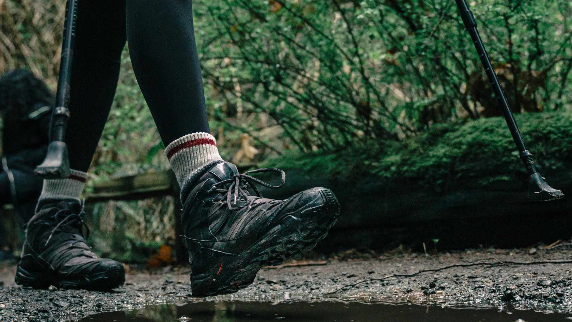 chaussure de randonnée