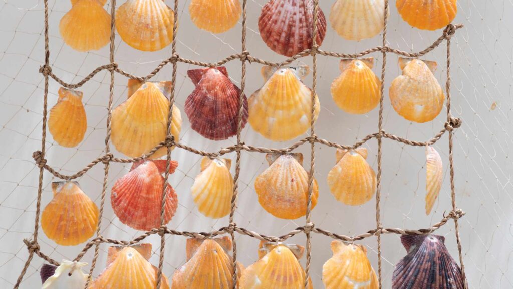 décoration diy coquillage