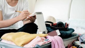 valise de vêtement