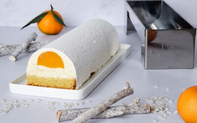 Les avantages des moules à bûche en inox par rapport aux autres matériaux.
