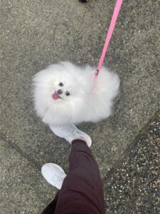 jogging femme